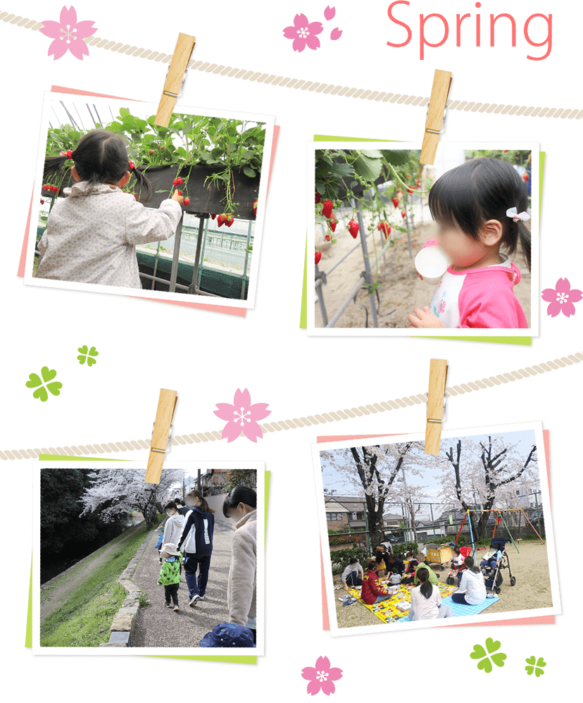 春の行事｜近くの公園やお城のお堀の桜がきれいなので、お弁当を持って花見に行きます